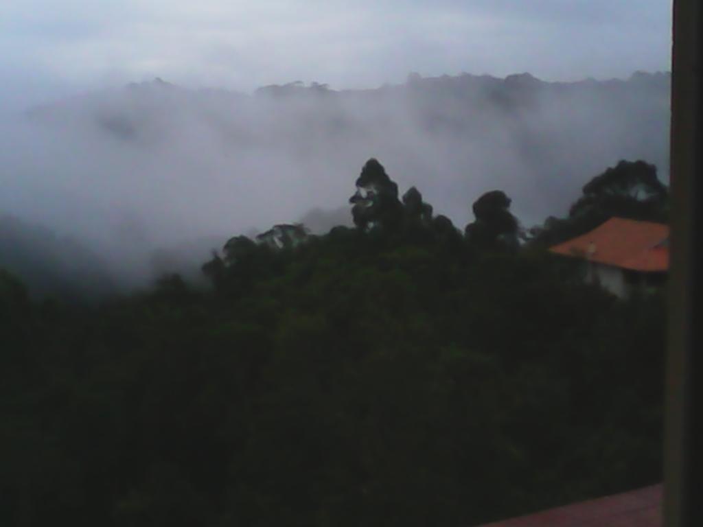 All Green Residence Monteverde Chambre photo